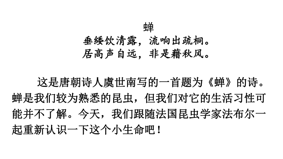 初中语文八年级上册21 蝉(1)教学课件（2023秋）.pptx_第1页