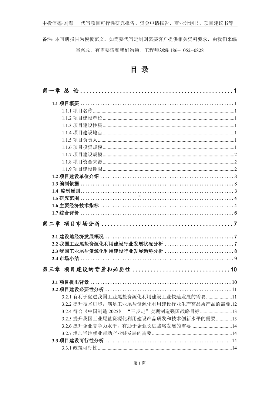 工业尾盐资源化利用建设项目资金申请报告写作模板定制.doc_第2页