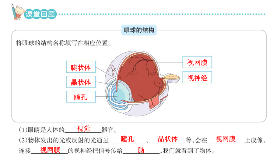 2023新青岛版（六三制）六年级下册《科学》第一单元课堂知识回顾与练习 复习ppt课件(共31张PPT).ppt_第2页