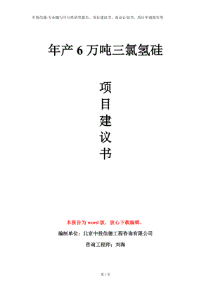 年产6万吨三氯氢硅项目建议书写作模板.doc