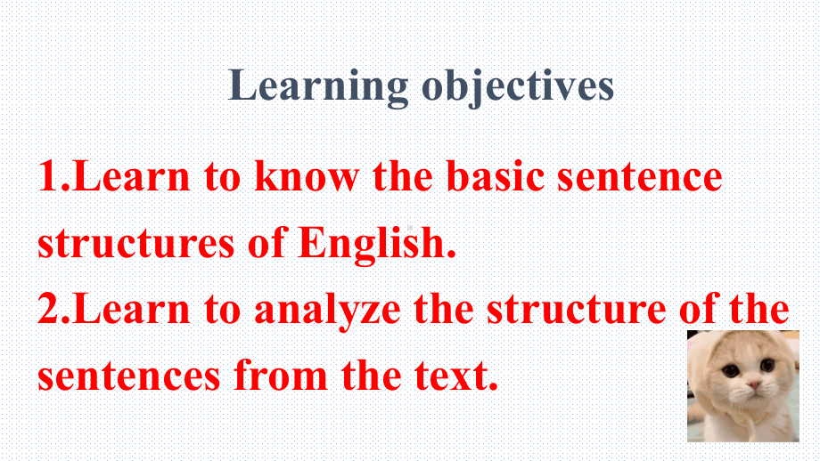 英语人教版高中必修一（2019新编）Welcome Unit Grammar-（课件）.pptx_第2页