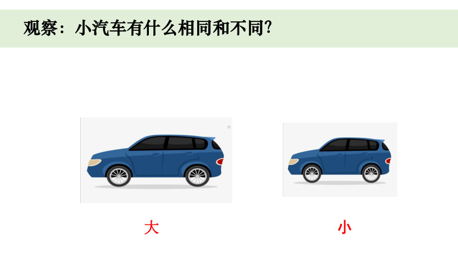 小学科学教科版一年级上册第二单元1《在观察中比较》教学课件（2023秋新课标版）.pptx_第2页