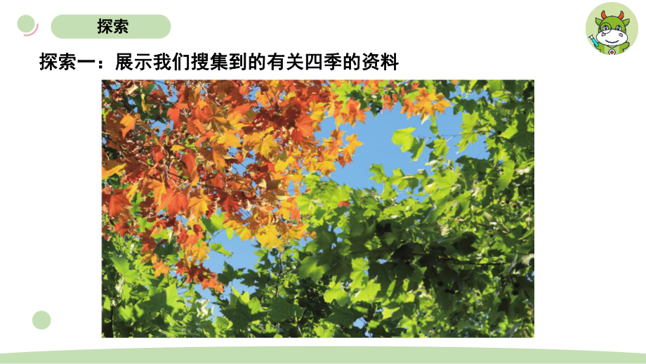 小学科学教科版二年级上册第一单元6《不同的季节》教学课件（2023秋新课标版）.pptx_第3页