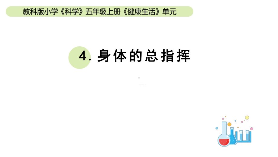 小学科学教科版五年级上册第四单元4《身体的“总指挥”》教学课件（2023秋新课标版）.pptx_第1页