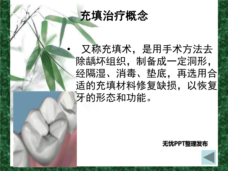 光固化复合树脂充填术(课堂PPT).ppt_第3页