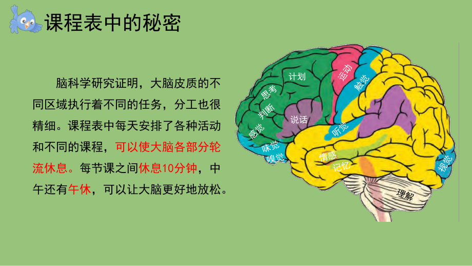 2.4 脑的保健 课件（共11张PPT+内嵌视频）-2023新大象版五年级上册《科学》.pptx_第3页