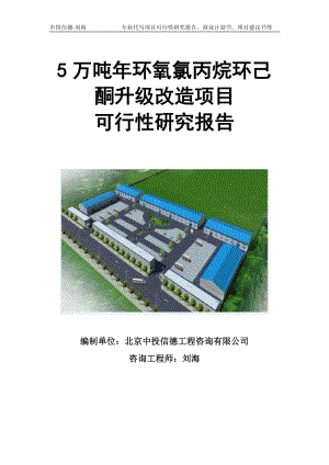 5万吨年环氧氯丙烷环己酮升级改造项目可行性研究报告模板立项审批.doc