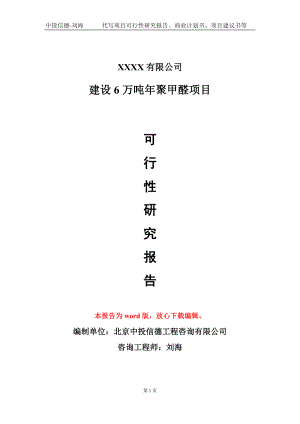 建设6万吨年聚甲醛项目可行性研究报告模板立项审批.doc