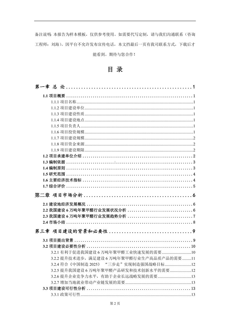 建设6万吨年聚甲醛项目可行性研究报告模板立项审批.doc_第2页