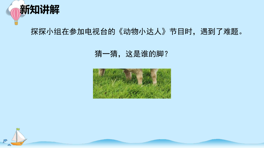 准备单元 这是谁的脚 课件（共10张PPT+视频）-2023新大象版二年级上册科学.pptx_第2页