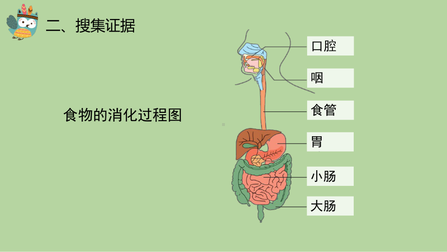 5.1 一次神奇的旅行 ppt课件（共16张PPT）-2023新大象版四年级上册科学.pptx_第3页