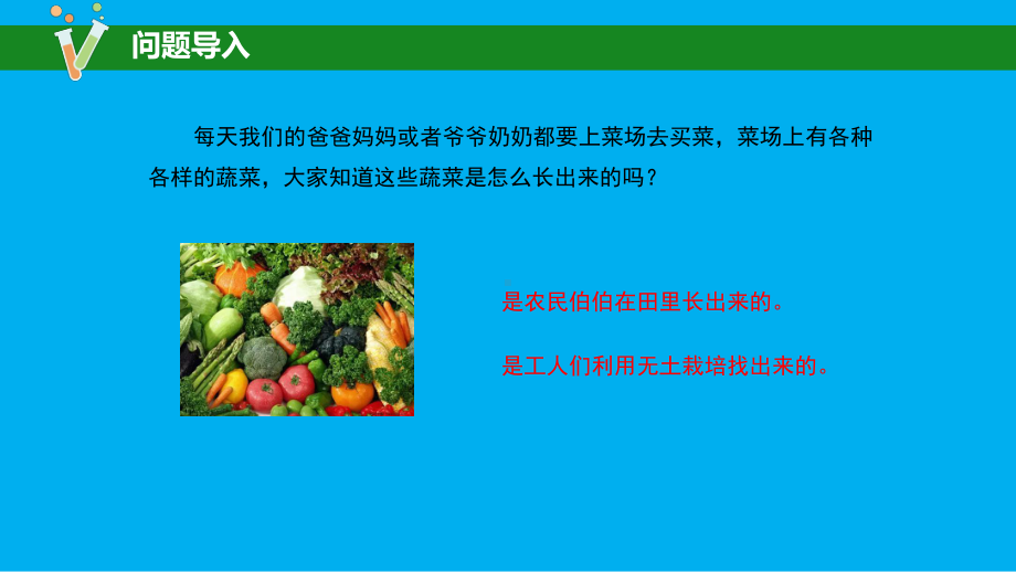 2023苏教版六年级上册《科学》16 人造肥料与现代农业 课件（共23张PPT）.pptx_第2页