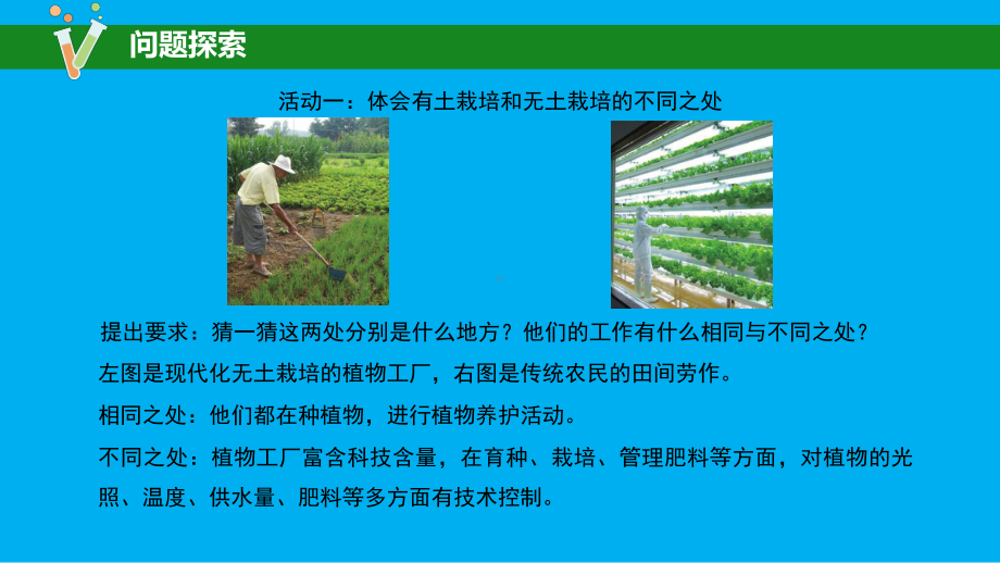 2023苏教版六年级上册《科学》16 人造肥料与现代农业 课件（共23张PPT）.pptx_第3页