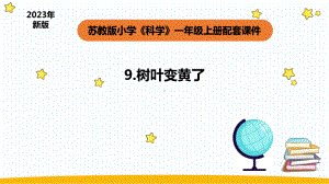 小学科学苏教版一年级上册9《树叶变黄了》教学课件（2023秋）.pptx