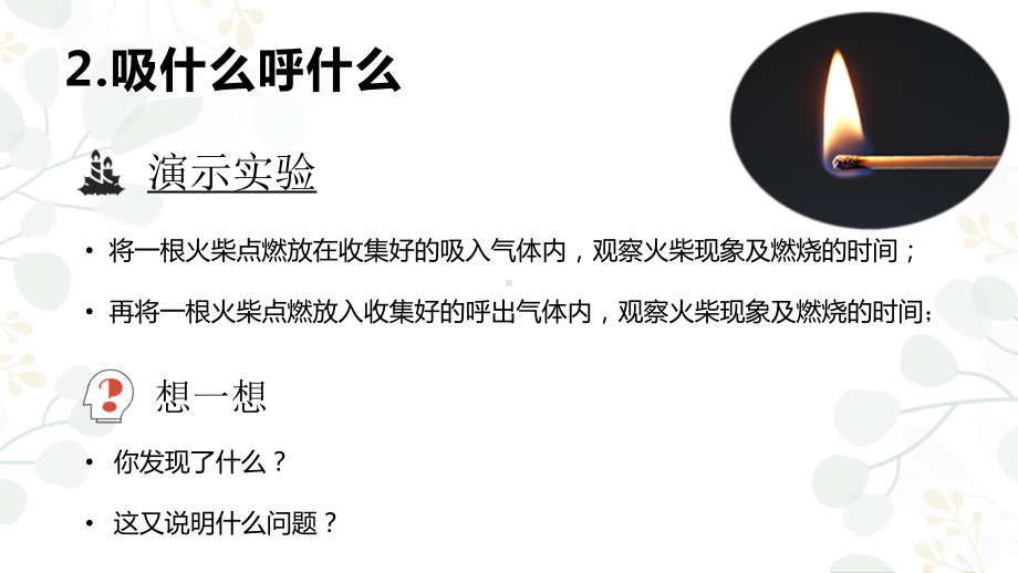 小学科学苏教版三年级上册第五单元1《人的呼吸》教学课件（2023秋）.pptx_第3页