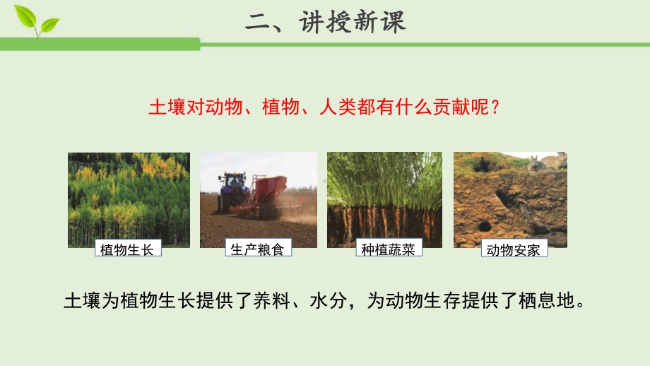 小学科学苏教版三年级上册第二单元4《保护土壤》教学课件（2023秋）.pptx_第3页