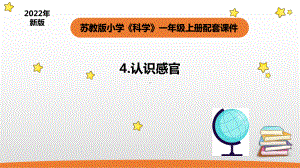 小学科学苏教版一年级上册4《认识感官》教学课件（2023秋）.pptx