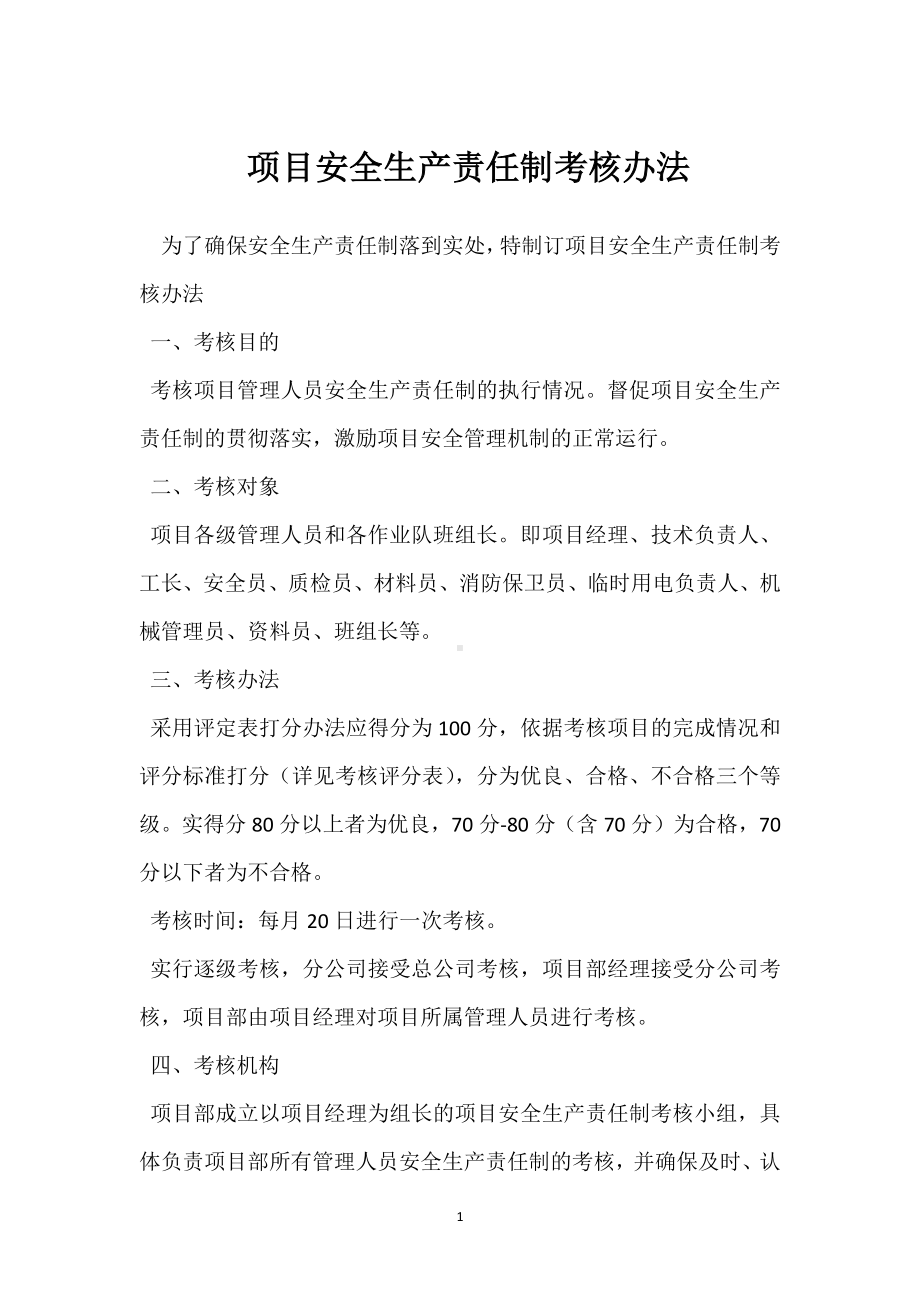 项目安全生产责任制考核办法模板范本.docx_第1页