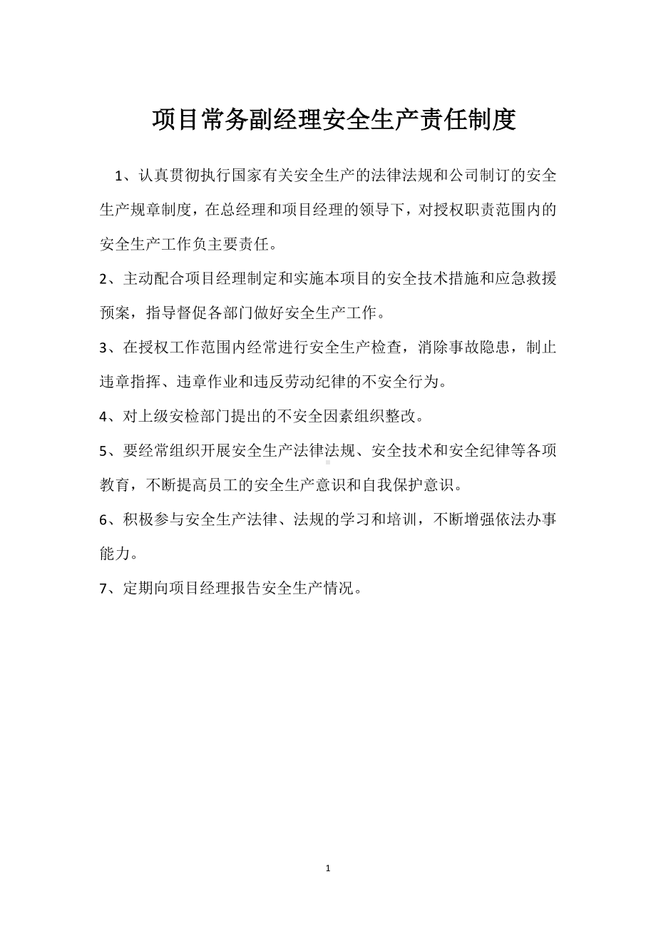 项目常务副经理安全生产责任制度模板范本.docx_第1页