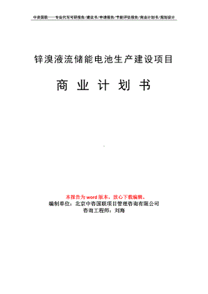 锌溴液流储能电池生产建设项目商业计划书写作模板-融资.doc