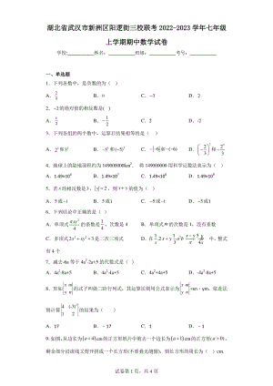 湖北省武汉市新洲区阳逻街三校联考2022-2023学年七年级上学期期中数学试卷.pdf