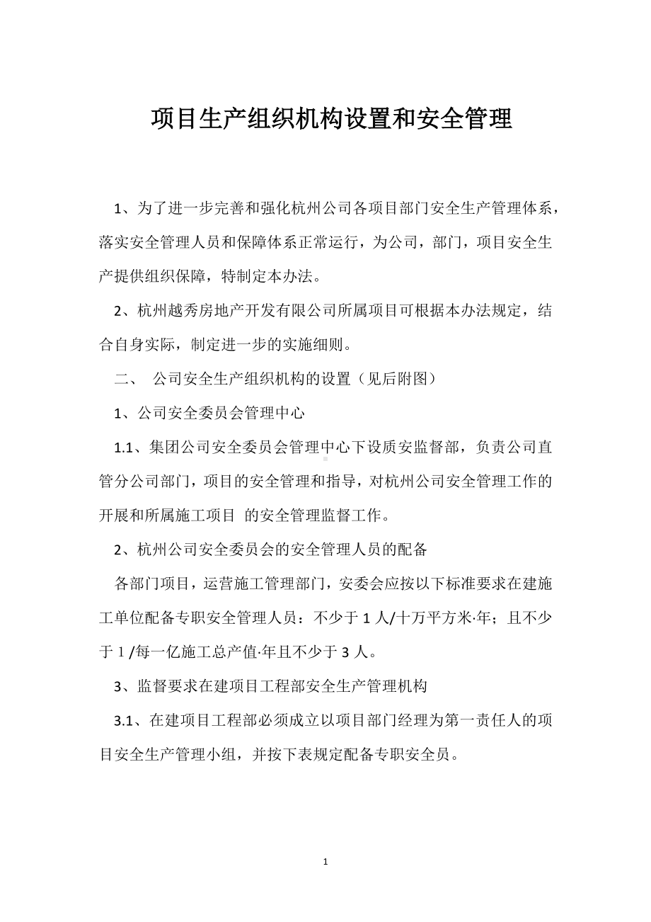 项目生产组织机构设置和安全管理模板范本.docx_第1页