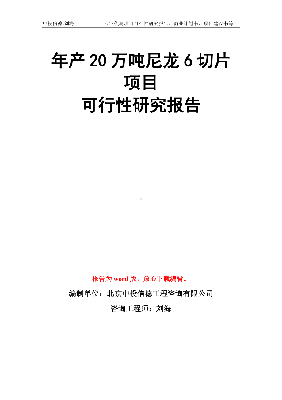 年产20万吨尼龙6切片项目可行性研究报告模板.doc_第1页