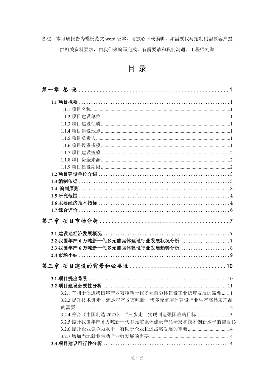 年产6万吨新一代多元前驱体建设项目可行性研究报告模板-备案审批.doc_第2页