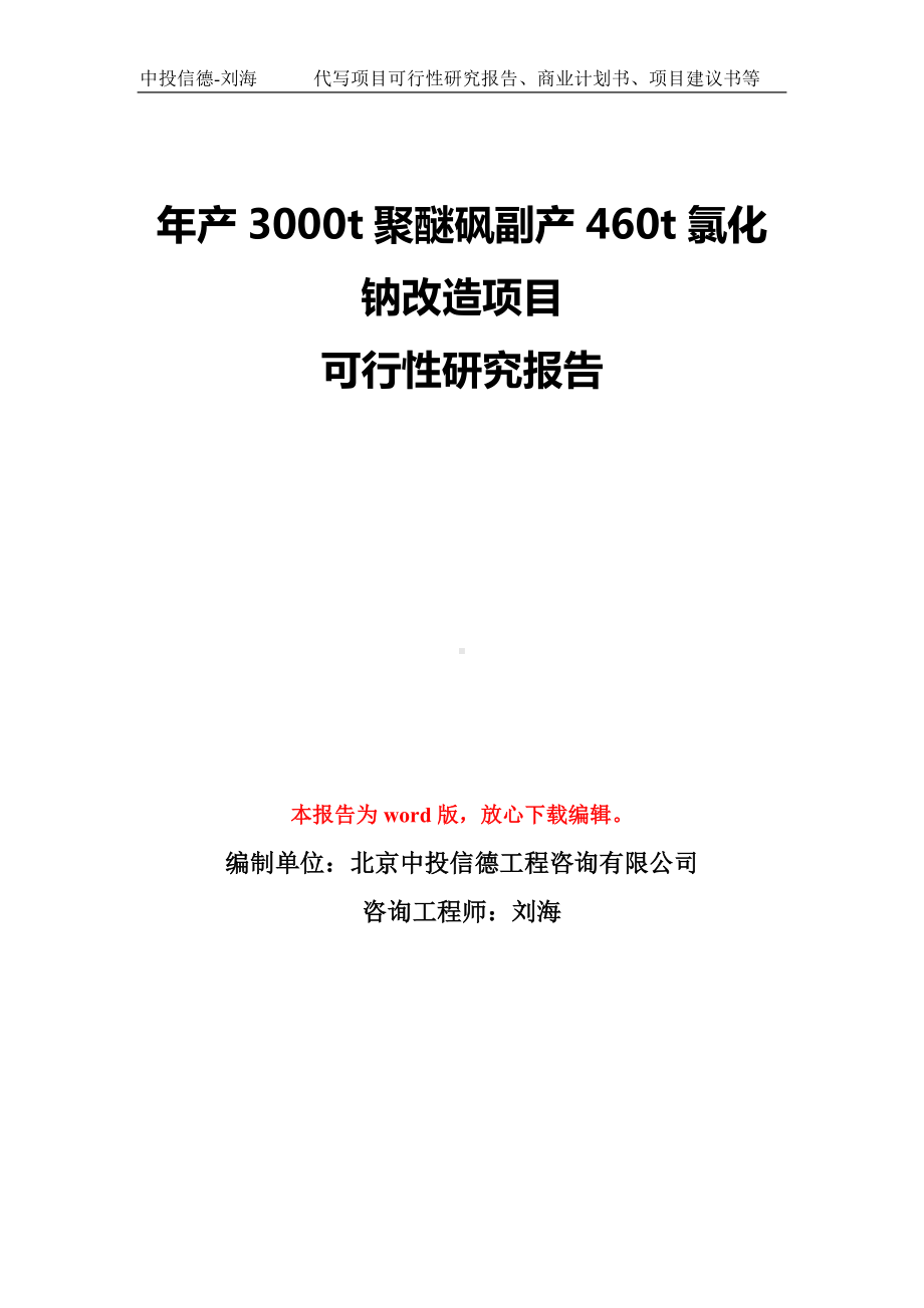 年产3000t聚醚砜副产460t氯化钠改造项目可行性研究报告模板-备案审批.doc_第1页