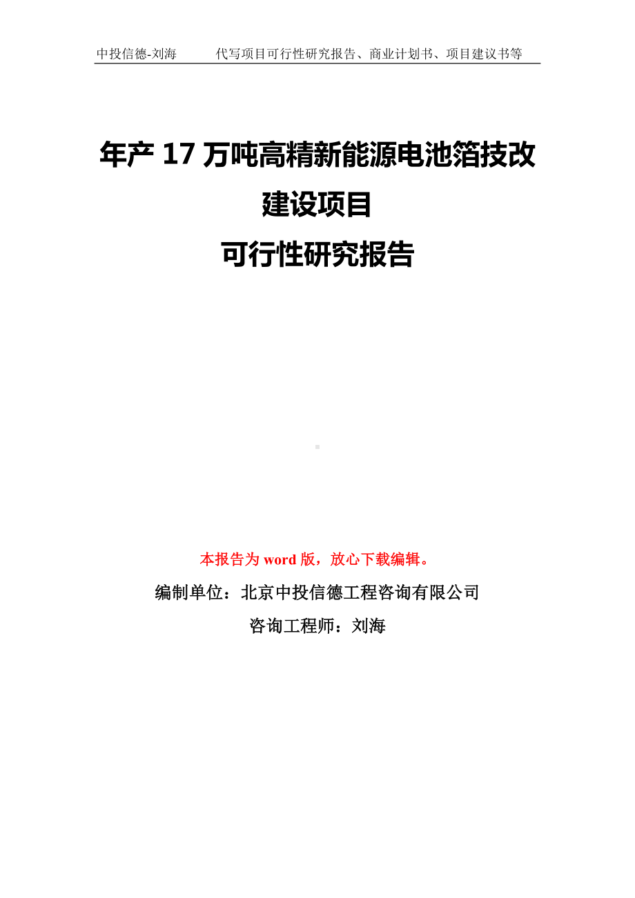 年产17万吨高精新能源电池箔技改建设项目可行性研究报告模板-备案审批.doc_第1页