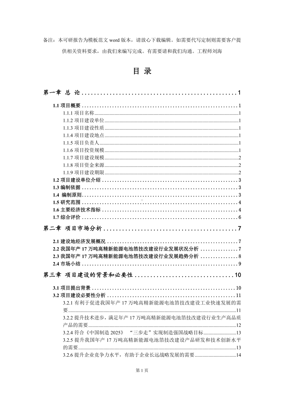 年产17万吨高精新能源电池箔技改建设项目可行性研究报告模板-备案审批.doc_第2页