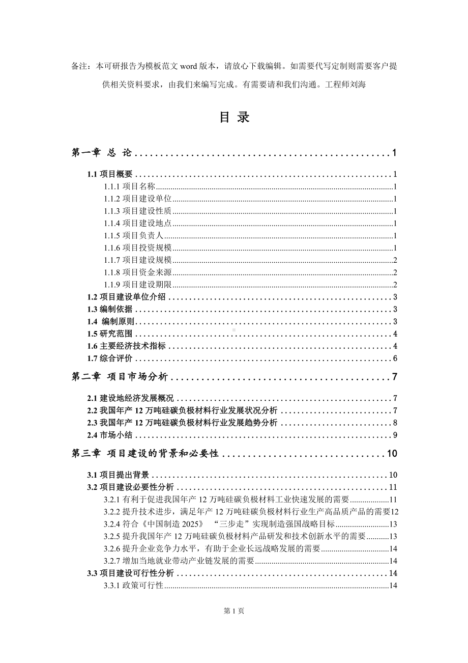 年产12万吨硅碳负极材料项目可行性研究报告模板-备案审批.doc_第2页