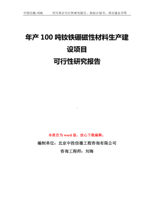 年产100吨钕铁硼磁性材料生产建设项目可行性研究报告模板-备案审批.doc