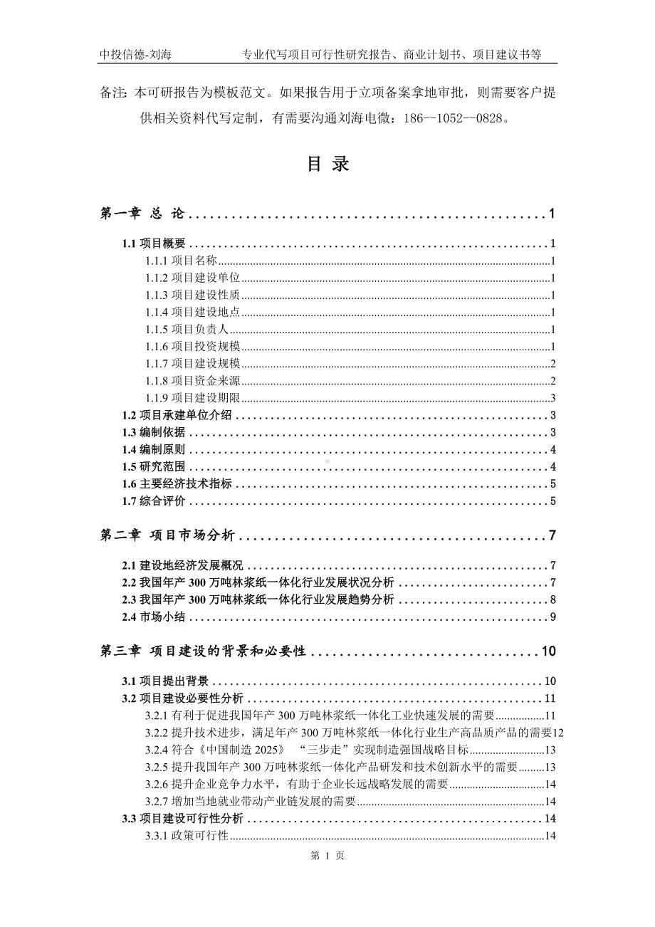 年产300万吨林浆纸一体化项目可行性研究报告模板.doc_第2页