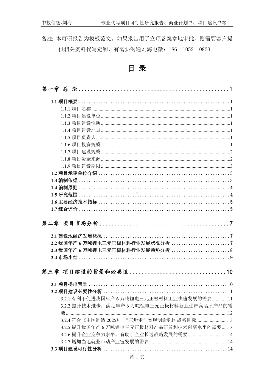 年产6万吨锂电三元正极材料项目可行性研究报告模板.doc_第2页