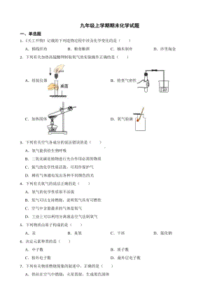 山东省菏泽市牡丹区九年级上学期期末化学试题附参考答案.pdf