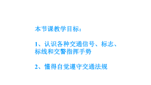 初中安全教育课件《生命在你手中-注意交通安全》.pptx