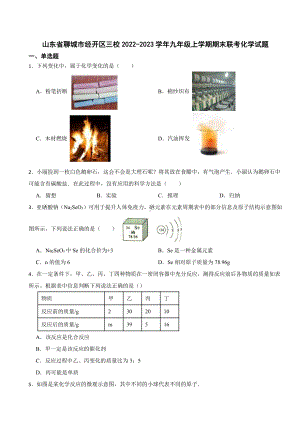 山东省聊城市九年级上学期期末联考化学试题附参考答案.pdf