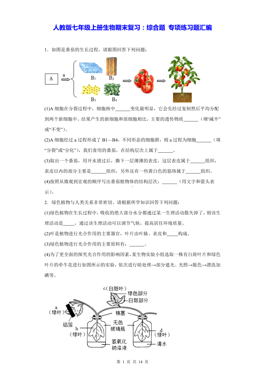 人教版七年级上册生物期末复习：综合题 专项练习题汇编（Word版含答案）.docx_第1页