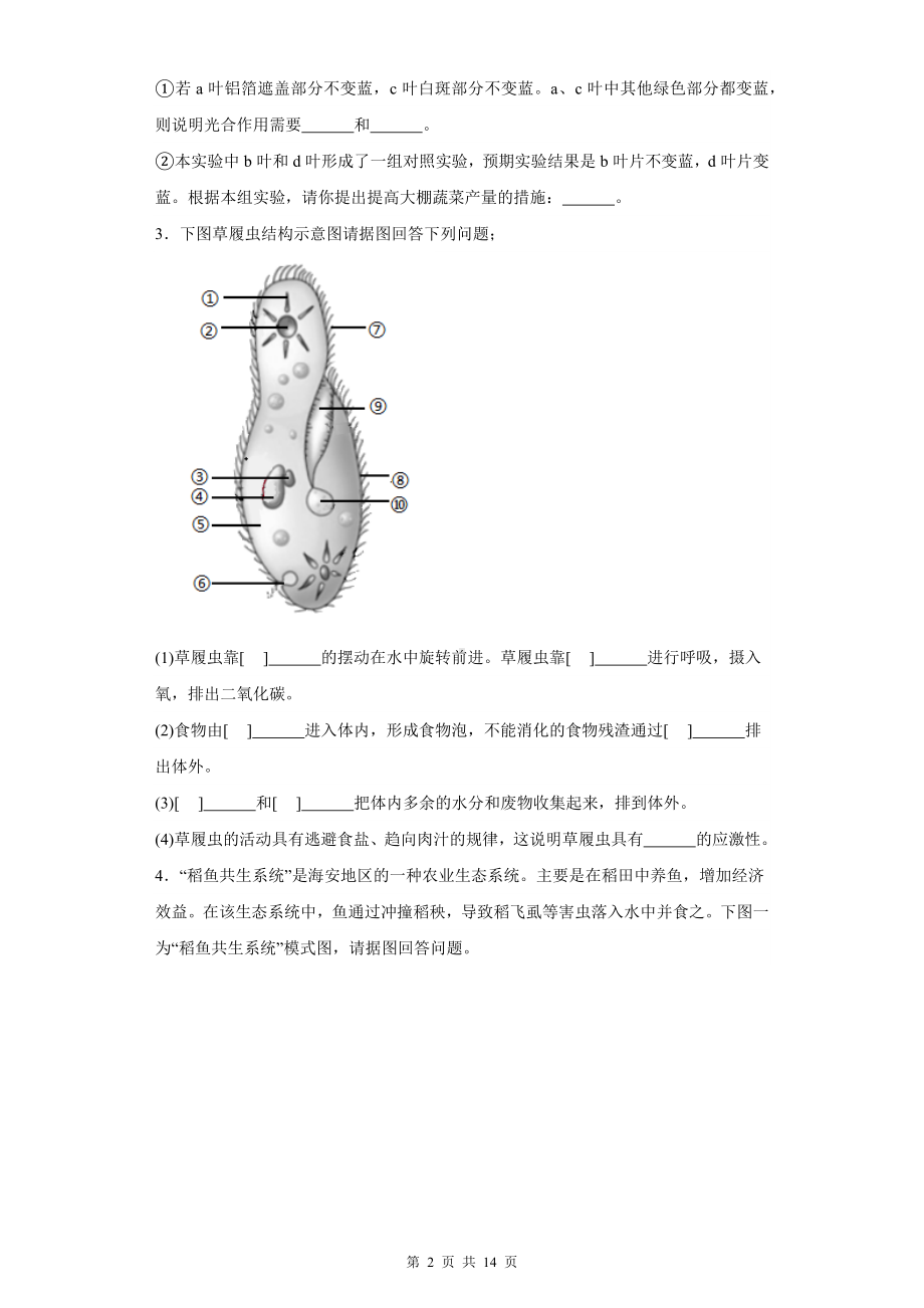 人教版七年级上册生物期末复习：综合题 专项练习题汇编（Word版含答案）.docx_第2页