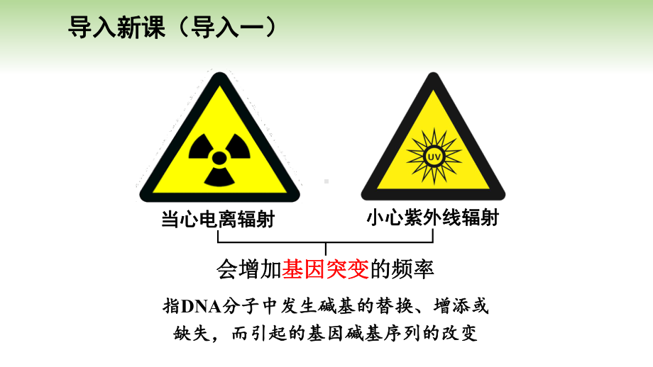 高一下学期生物人教版必修2-5.1第2课时 基因突变的原因和意义、基因重组（课件）.pptx_第2页