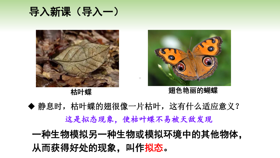 高一下学期生物人教版必修2 6.2自然选择与适应的形成（课件）.pptx_第2页