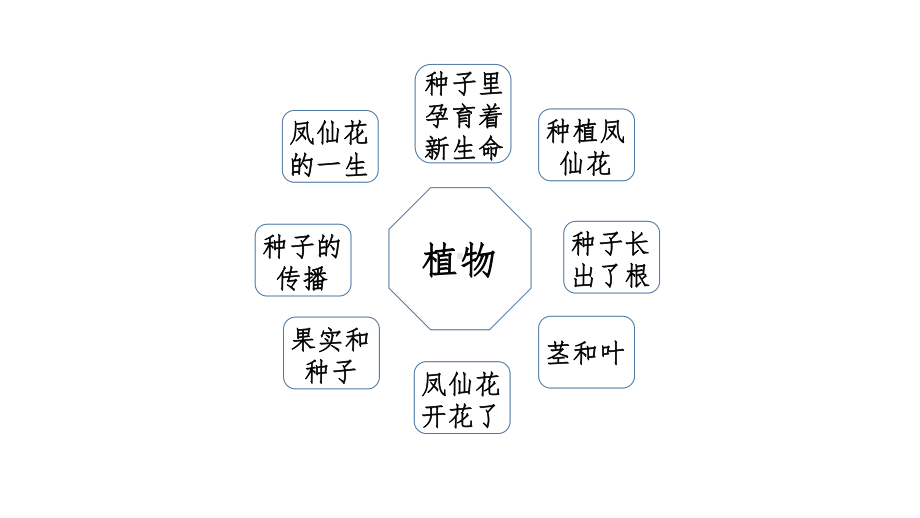 2024新教科版四年级下册《科学》第一单元 植物的生长变化复习讲解 ppt课件（22张PPT）.pptx_第1页