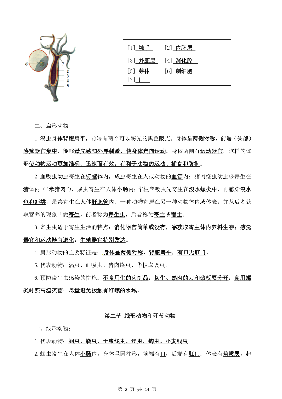 鲁科版（五四学制）八年级上册生物期末复习基础知识提纲（实用！）.docx_第2页