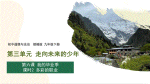 6.2 多彩的职业 课件 初中道德与法治人教部编版 九年级下册（2022-2023学年）.pptx