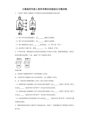 2023新大象版四年级上册《科学》期末实验综合专题训练（含答案）.docx