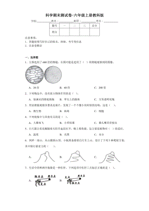 2023新教科版六年级上册《科学》期末测试卷（含解析）.docx