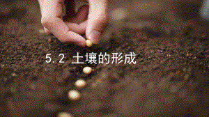 5.2 土壤的形成ppt课件-2024新湘教版（2019）《高中地理》必修第一册.pptx