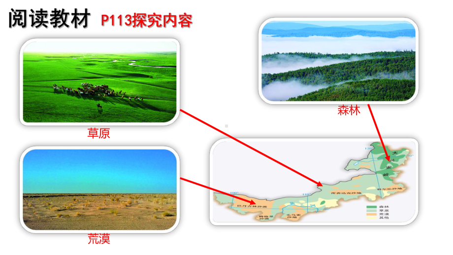 5.1 主要植被与自然环境ppt课件-2024新湘教版（2019）《高中地理》必修第一册.pptx_第2页