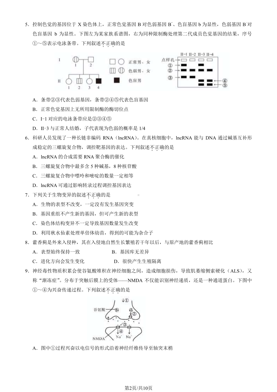 北京石景山区2023-2024高三上学期期末生物试卷及答案.pdf_第2页